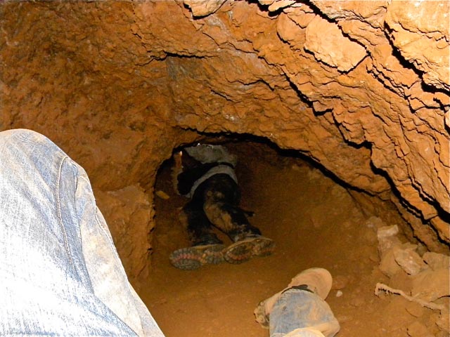 Interior of an artisanal gold mine working